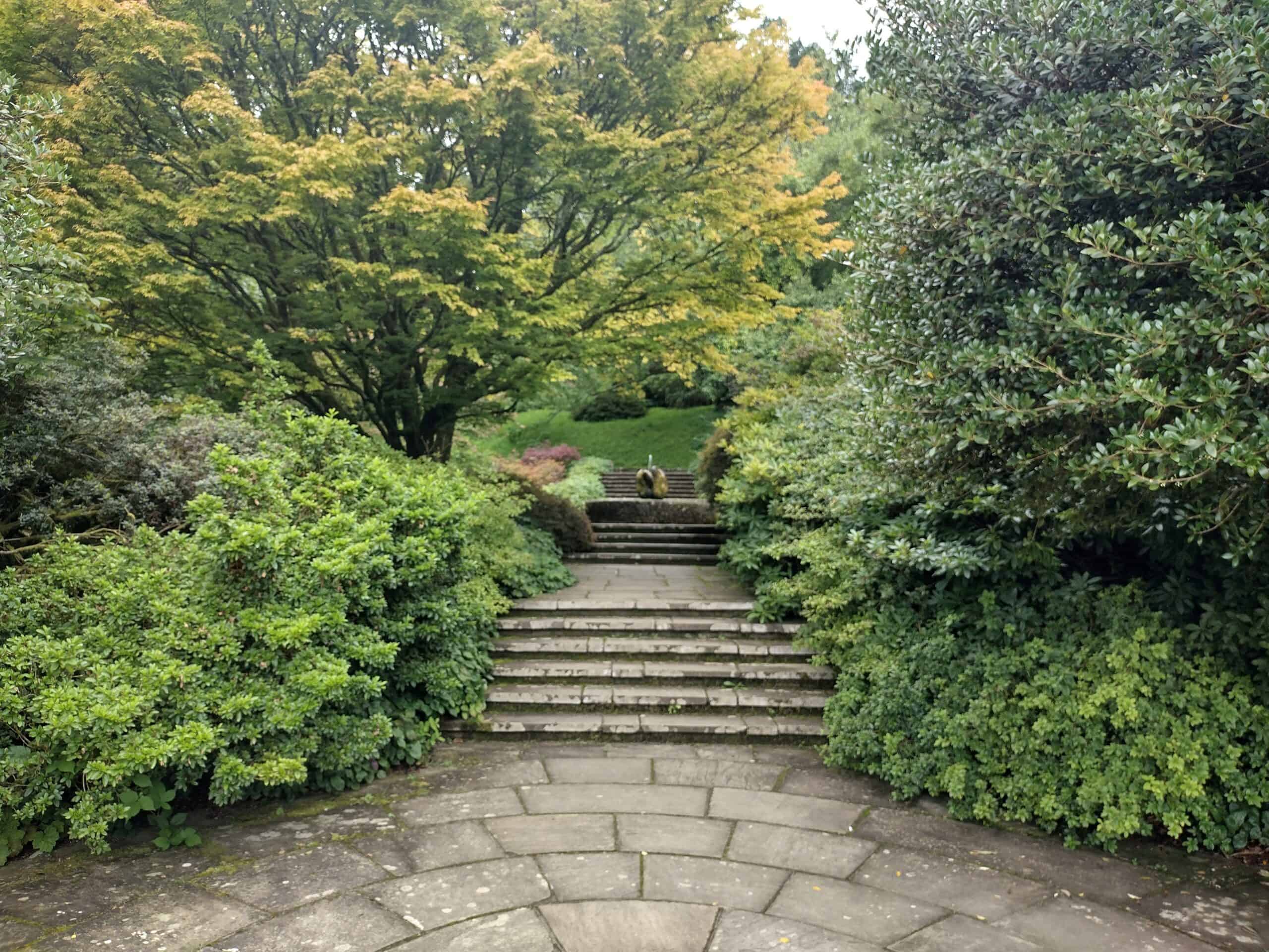Dartington estate gardens, steps with trees
